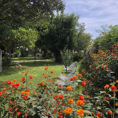 Villa Caterina B&B 프로치다 외부 사진