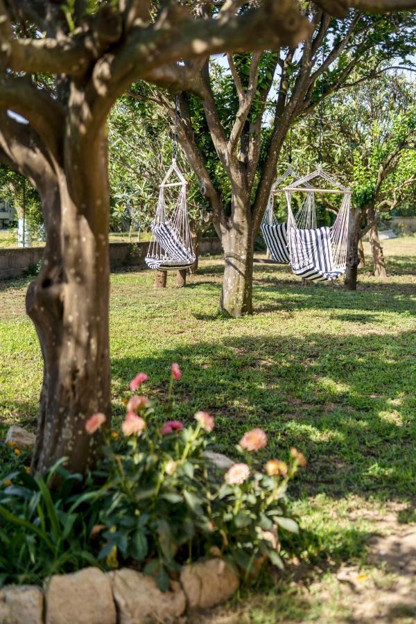 Villa Caterina B&B 프로치다 외부 사진