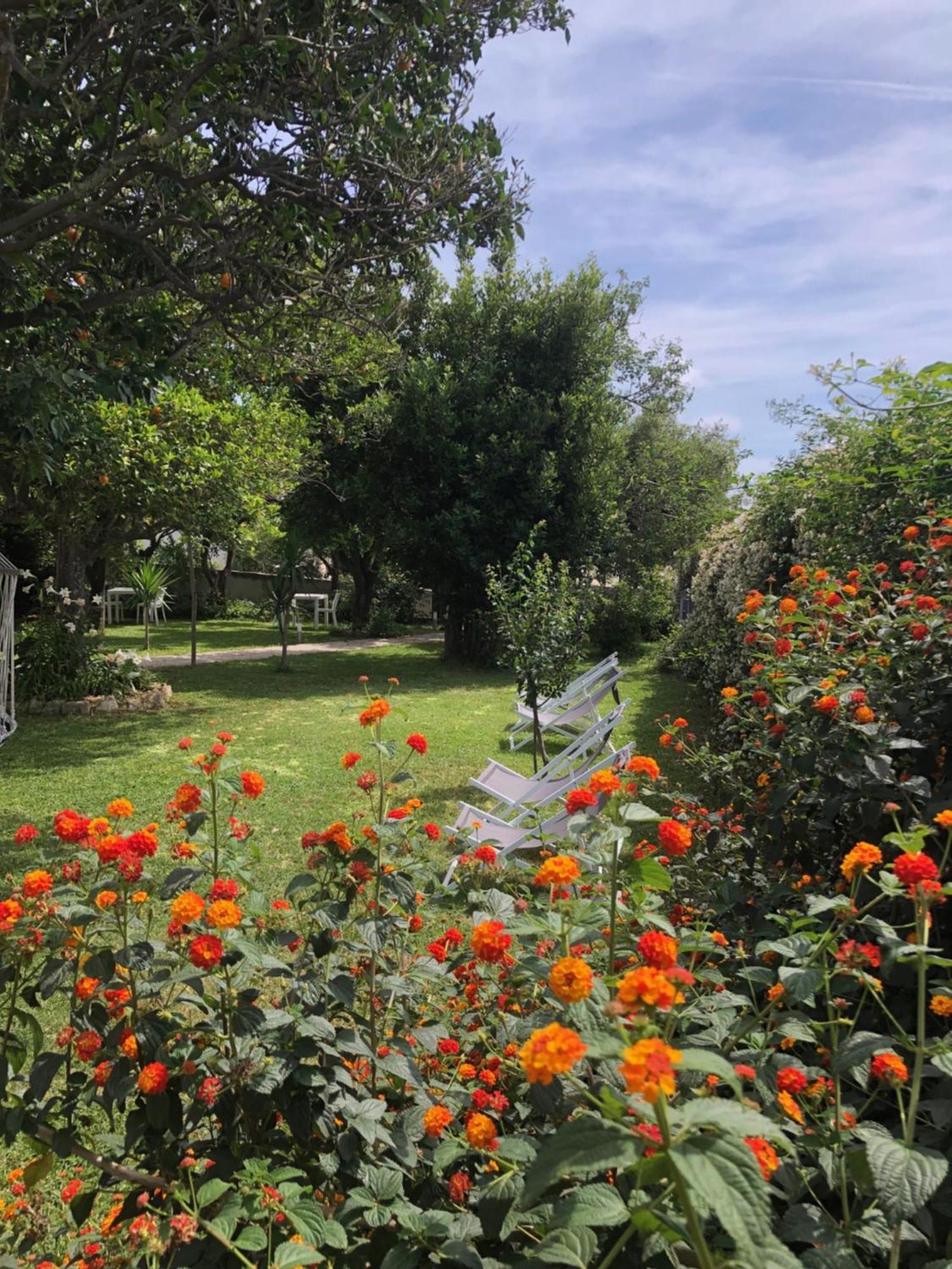 Villa Caterina B&B 프로치다 외부 사진